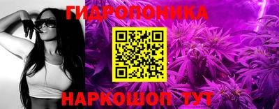крисы Бузулук