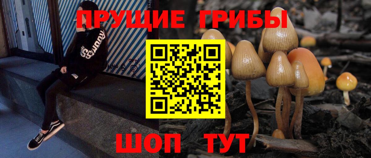 Псилоцибиновые грибы GOLDEN TEACHER Саратов