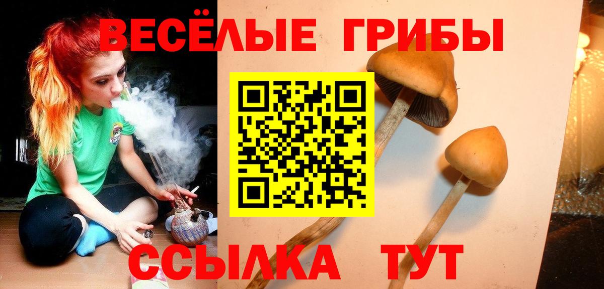 Псилоцибиновые грибы Cubensis  Вход с VPN  Саратов  Галлюциногенные грибы Cubensis 